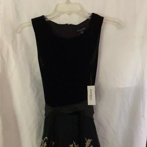 Black Velvet and Tulle Gold Embroidered Dress